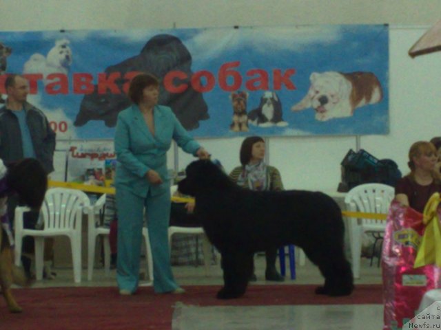 Фотография № 63493