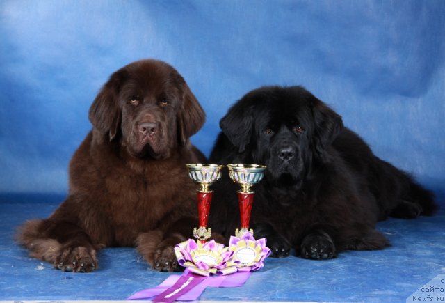 Фотография № 63497