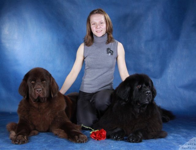 Фотография № 63498