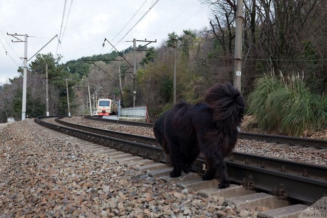 Фотография № 63537