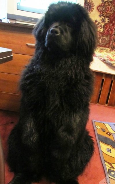 Фотография № 63540