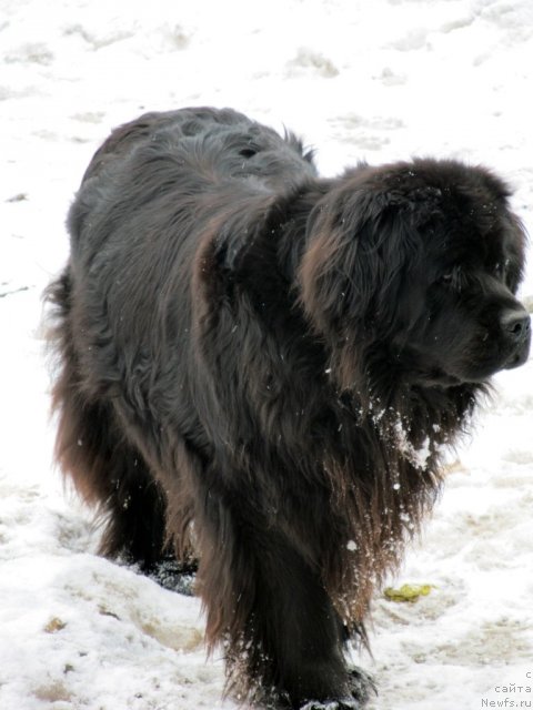 Фотография № 63553