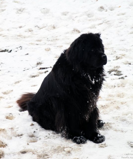 Фотография № 63554