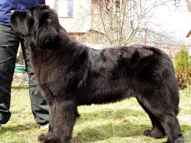 Фотография № 63557