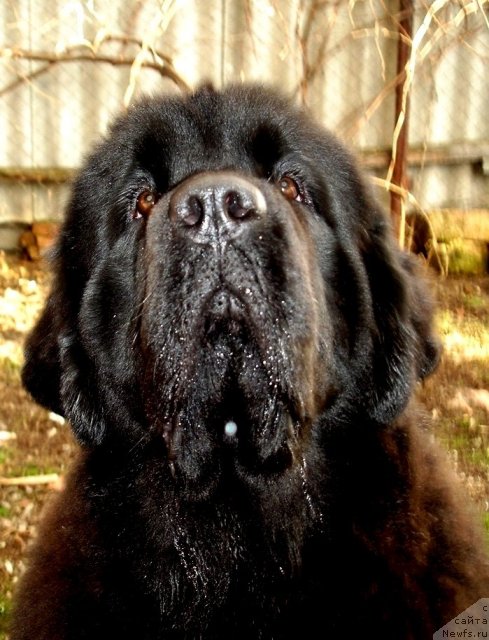 Фотография № 63559