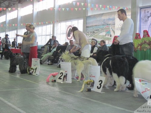 Фотография № 63570