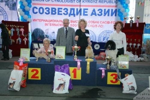 Фотография № 63599