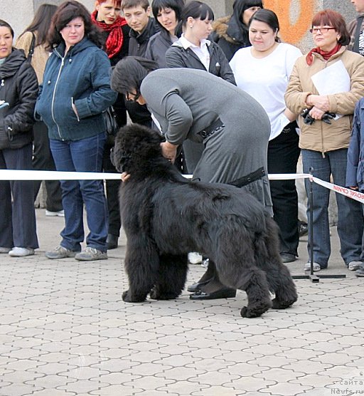 Фотография № 63613