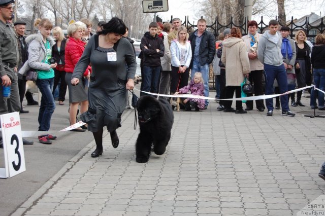 Фотография № 63615