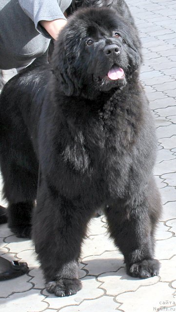 Фотография № 63617