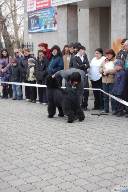 Фотография № 63618