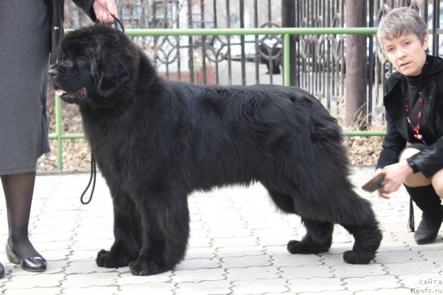 Фотография № 63621