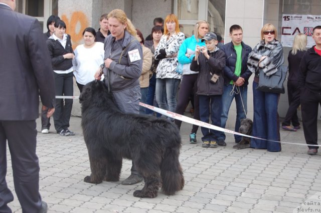 Фотография № 63622