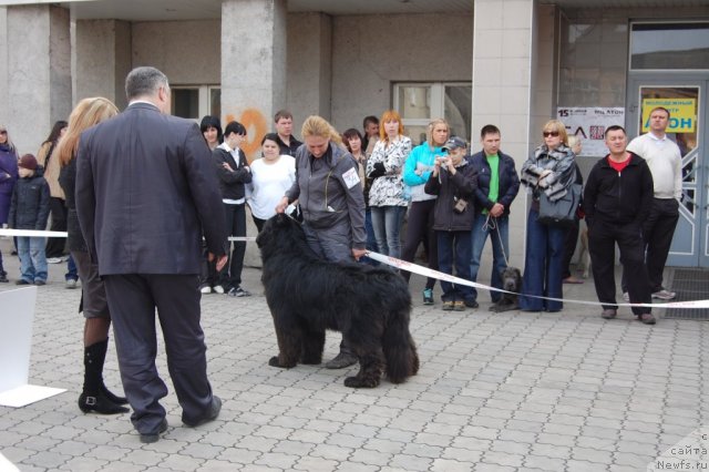 Фотография № 63623