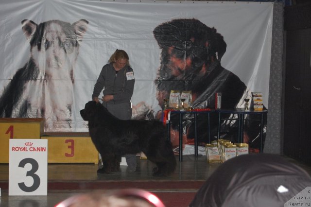 Фотография № 63624