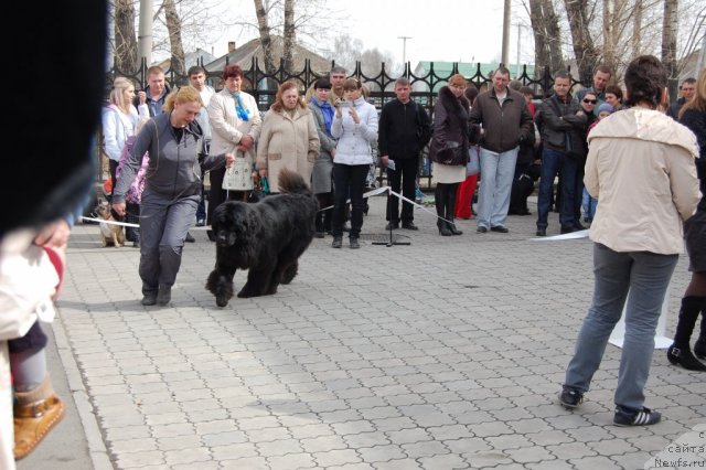 Фотография № 63625