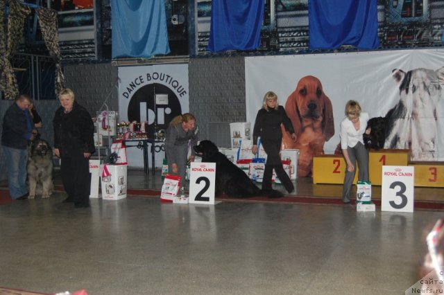 Фотография № 63626