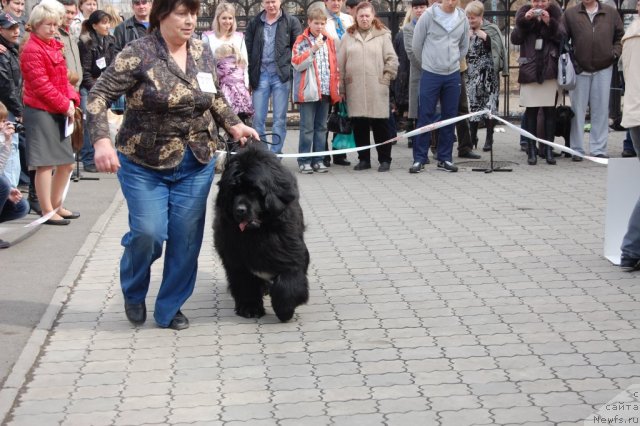 Фотография № 63629