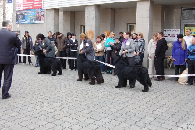 Фотография № 63632