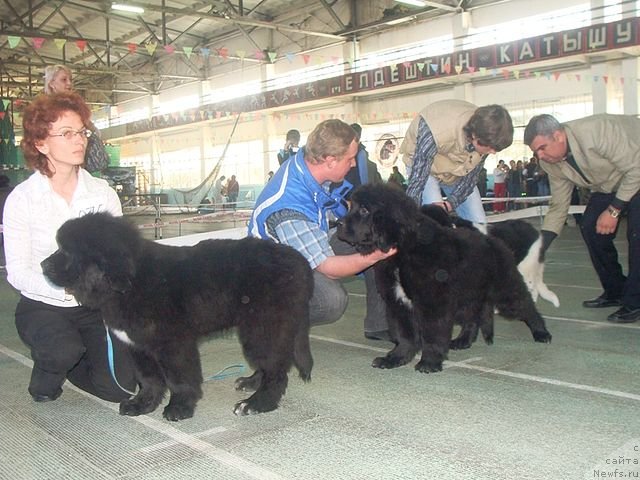 Фотография № 63708