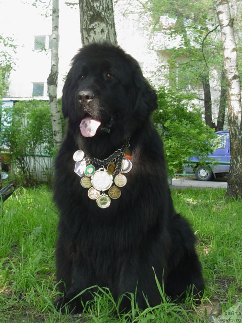 Фотография № 63731