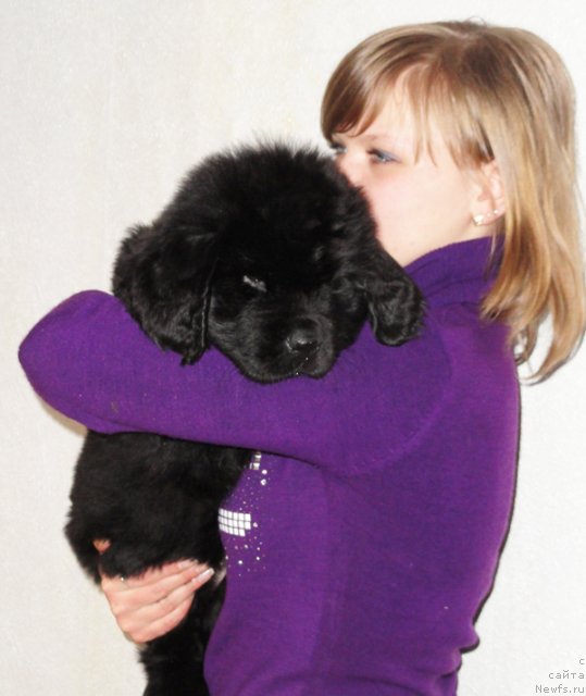 Фото: Бегущая по волнам Диал Ми Ин, Вероника Добренькая