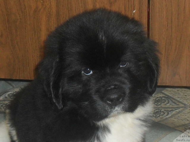 Фотография № 63760