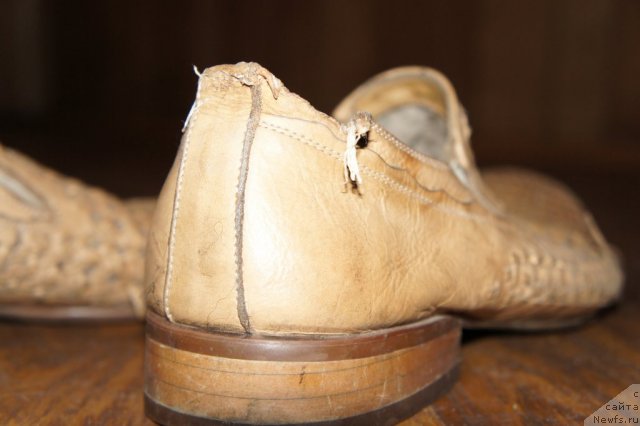 Фотография № 63826