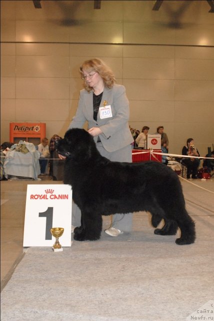 Фотография № 63850