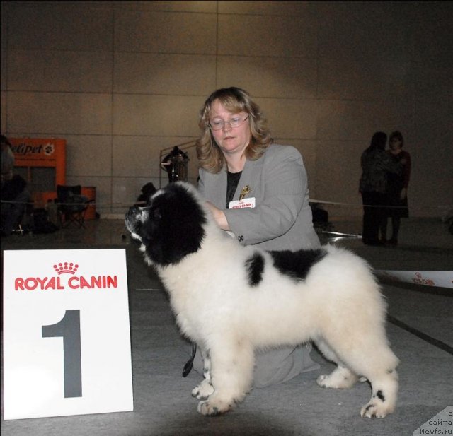 Фотография № 63854