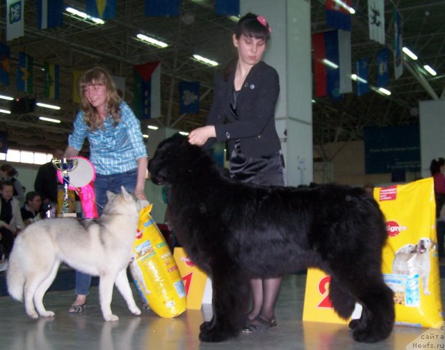 Фотография № 63867