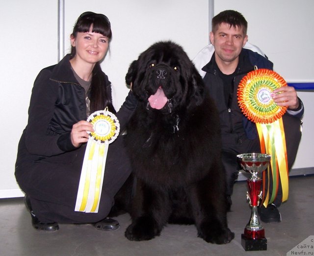 Фотография № 63868