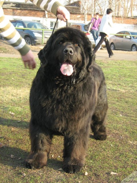 Фотография № 63870