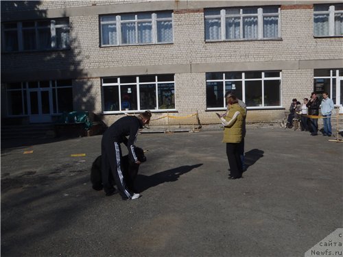 Фотография № 63916