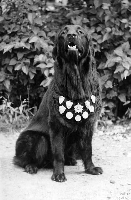 Фотография № 63925