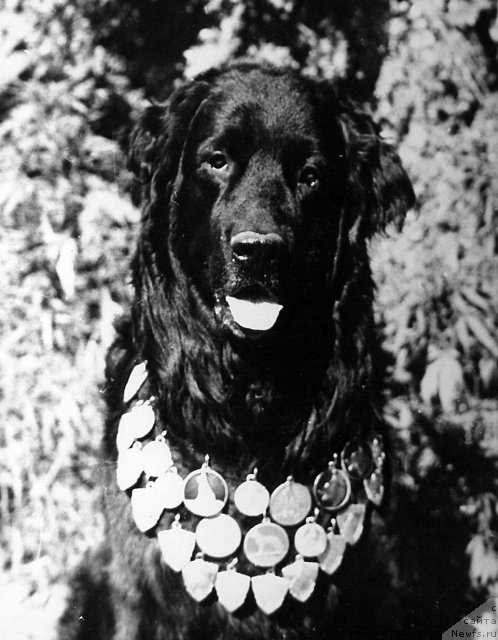 Фотография № 63926