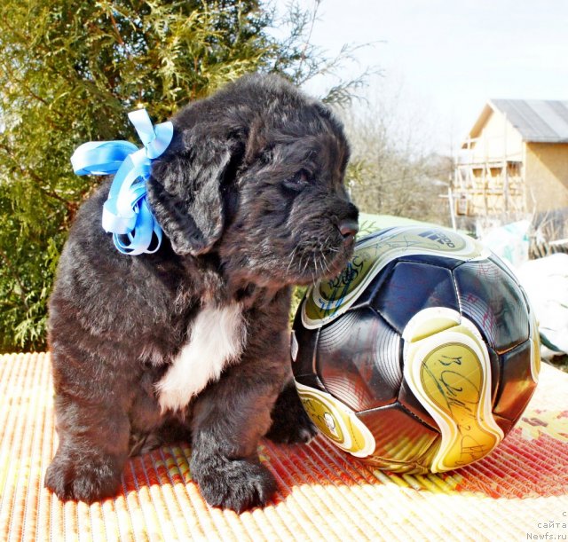 Фото: Piternyuf Everest