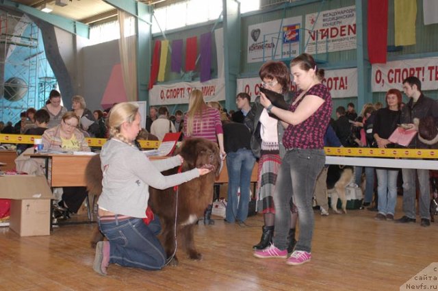 Фотография № 63951