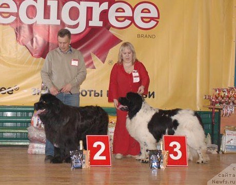 Фотография № 63954