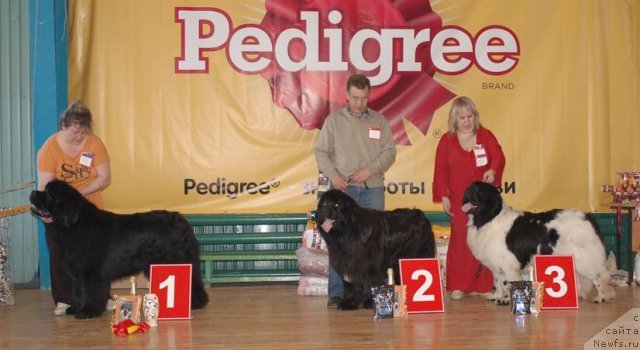 Фотография № 63955