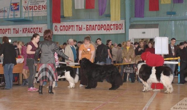 Фотография № 63957