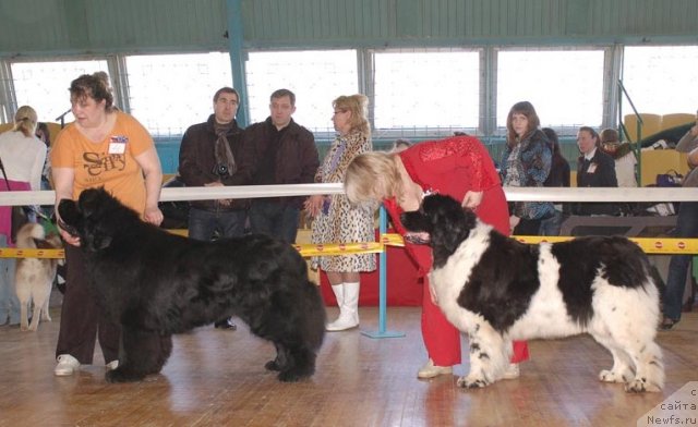 Фотография № 63962