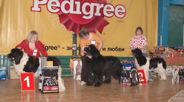 Фотография № 63964