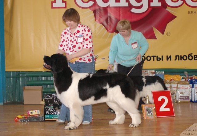 Фотография № 63973