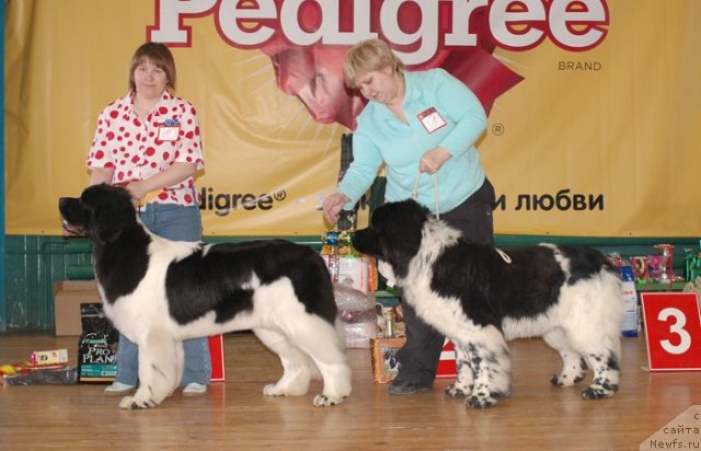 Фотография № 63974