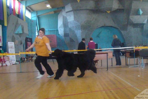 Фотография № 63975