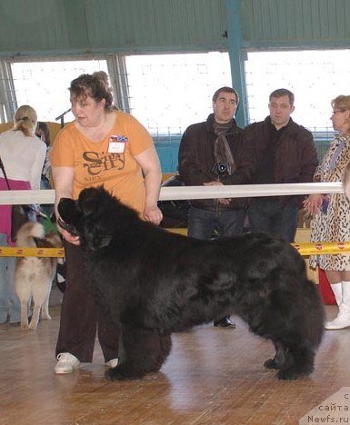 Фотография № 63980