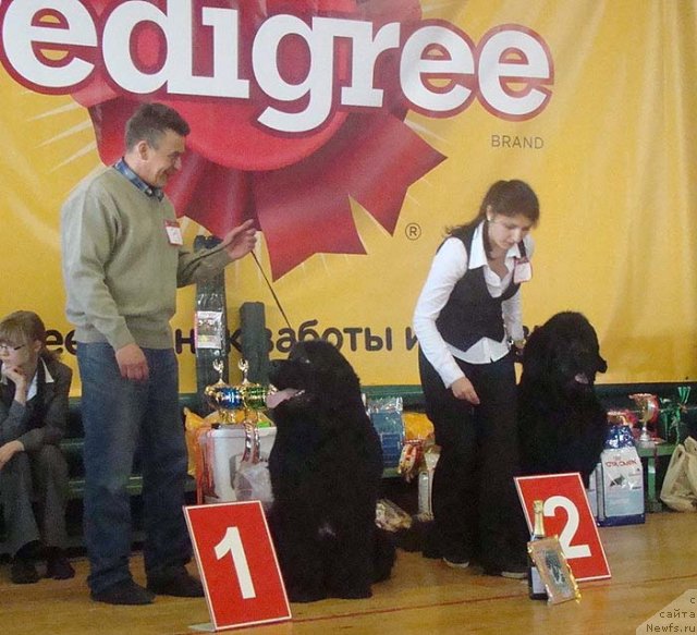 Фотография № 63981