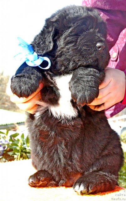 Фото: Piternyuf Everest