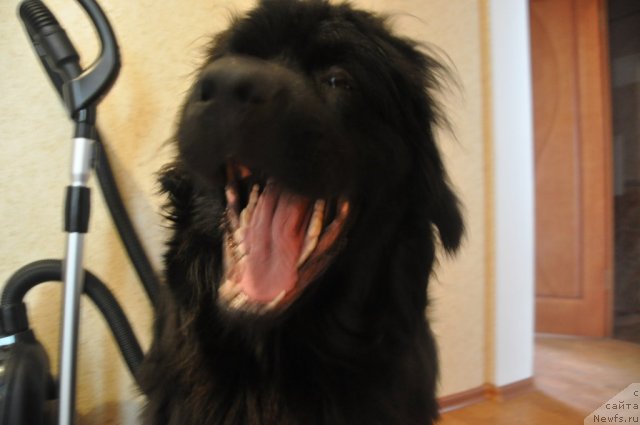 Фото: Гучик 8 месяцев